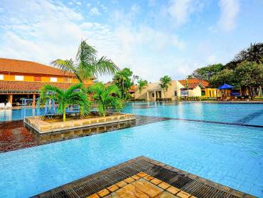 Club Palm Bay |  Club Palm Bay / Chamleon