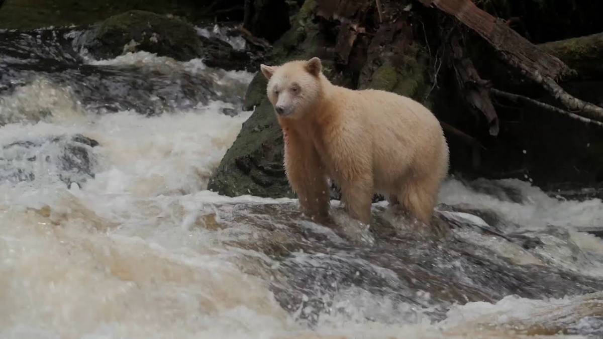 Kanada - Explore Canada - the best of the best of the best.