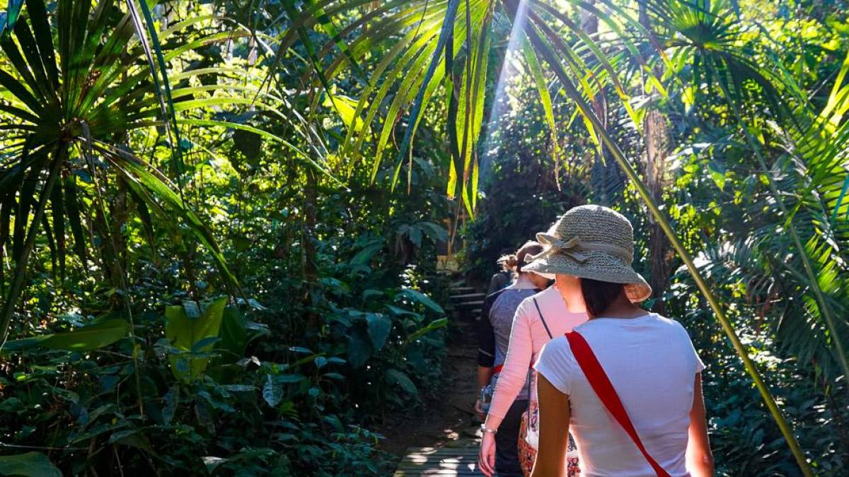 Wanderung durch den Regenwald |  Luisa Mentz / Chamleon