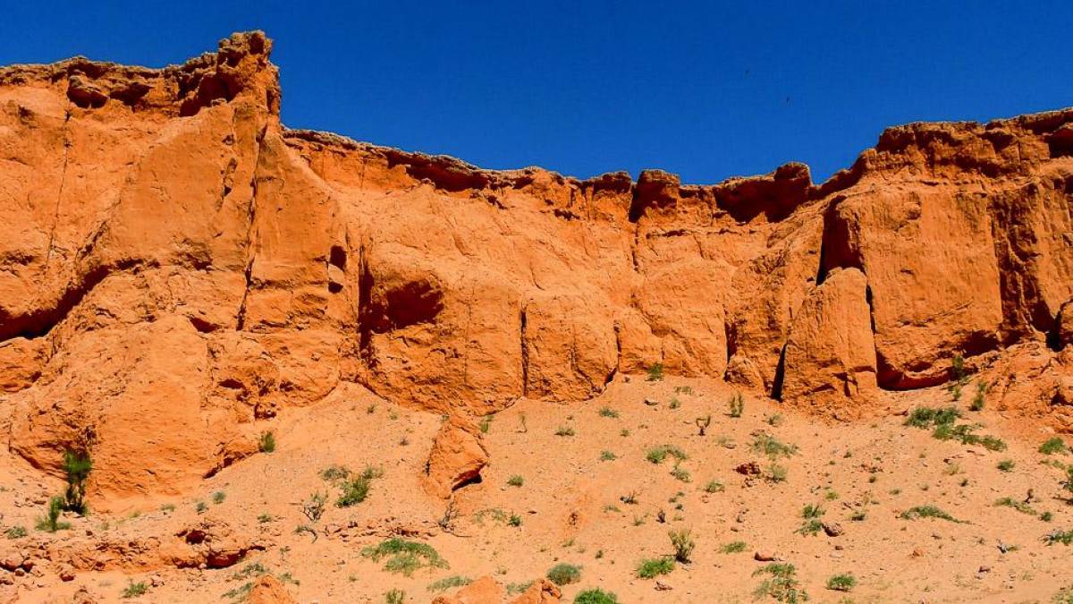 Die brennenden Klippen von Bajandsag |  Tsolmon Travel / Chamleon