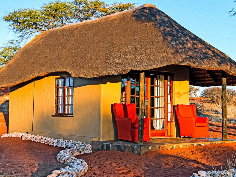 Camelthorn Kalahari Lodge |  Camelthorn Kalahari Lodge / Chamleon