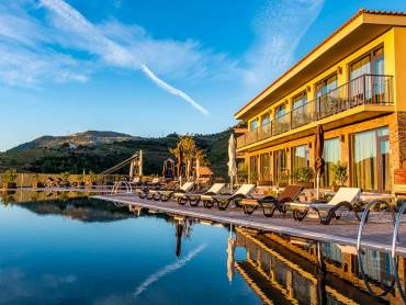 Vila Gal Douro Vineyards |  Hugo Alexandre Jos da Silva Gomes, Vila Gal Douro Vineyards / Chamleon