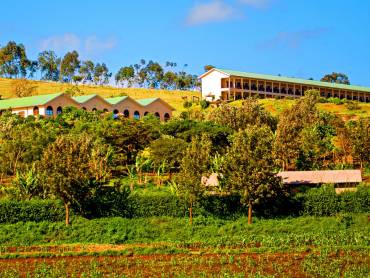 Highview Hotel |  Chris Werner, Highview Hotel / Chamleon