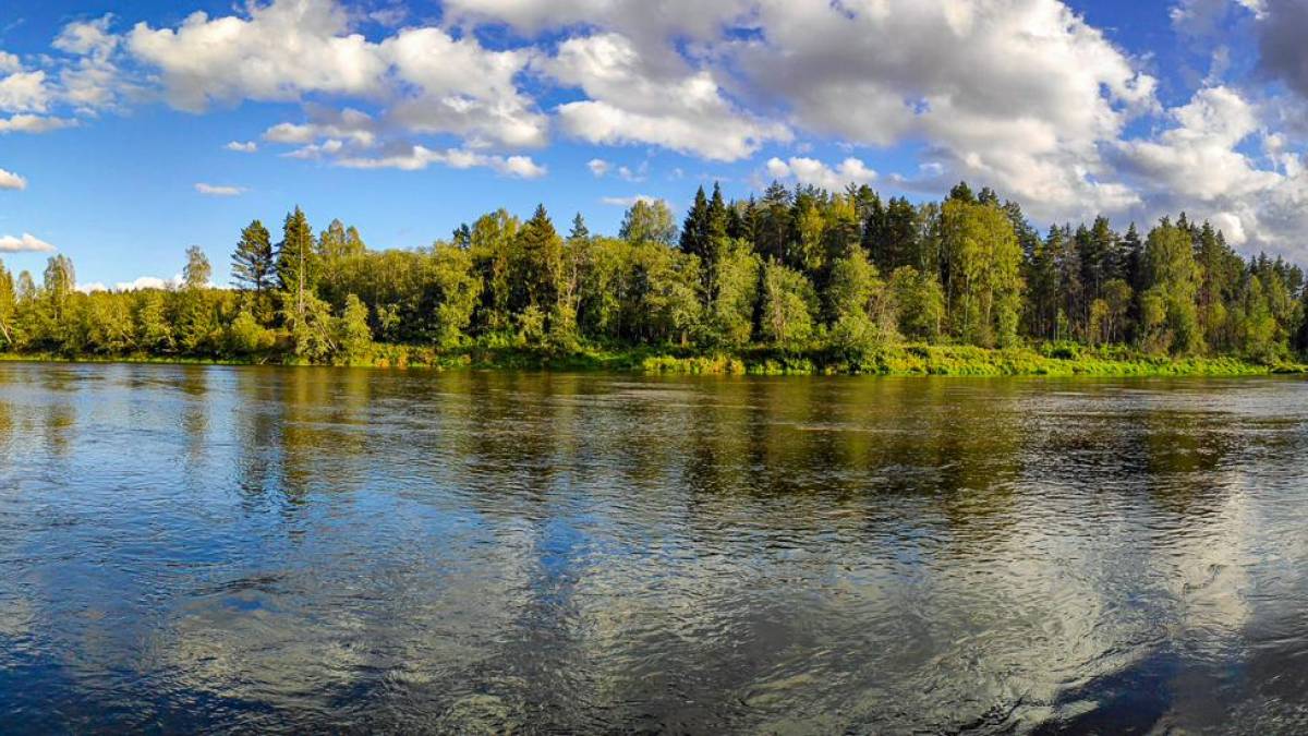 Gauja-Nationalpark |  KiraHundeDog, Pixabay / Chamleon