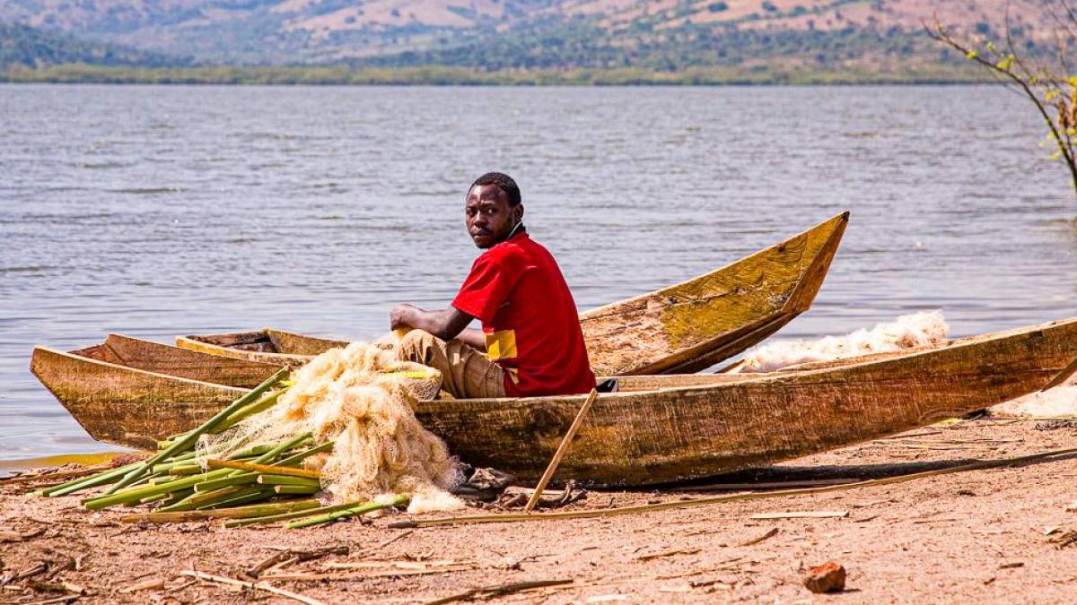 Fischer |  Sami Fayed, Mihingo Lodge / Chamleon