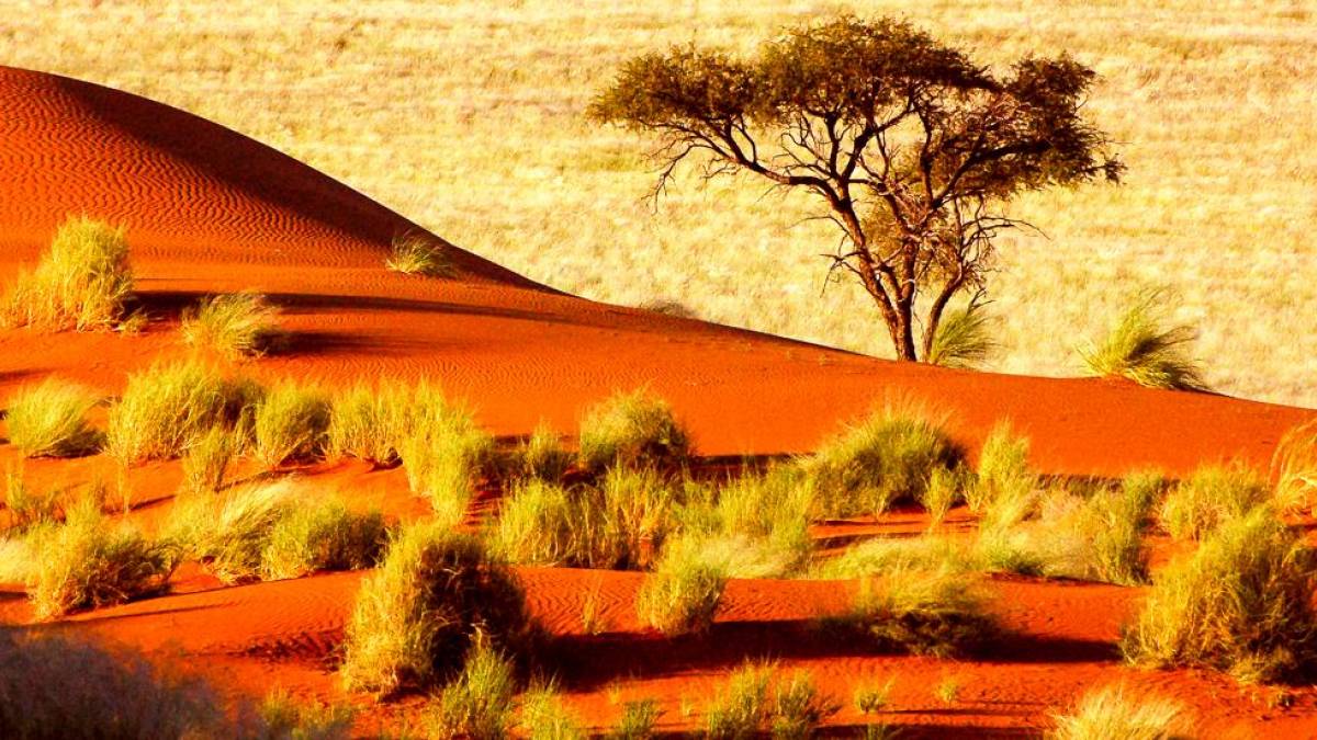 Rote Dne in der Kalahari |  Tobias Lehmann / Chamleon