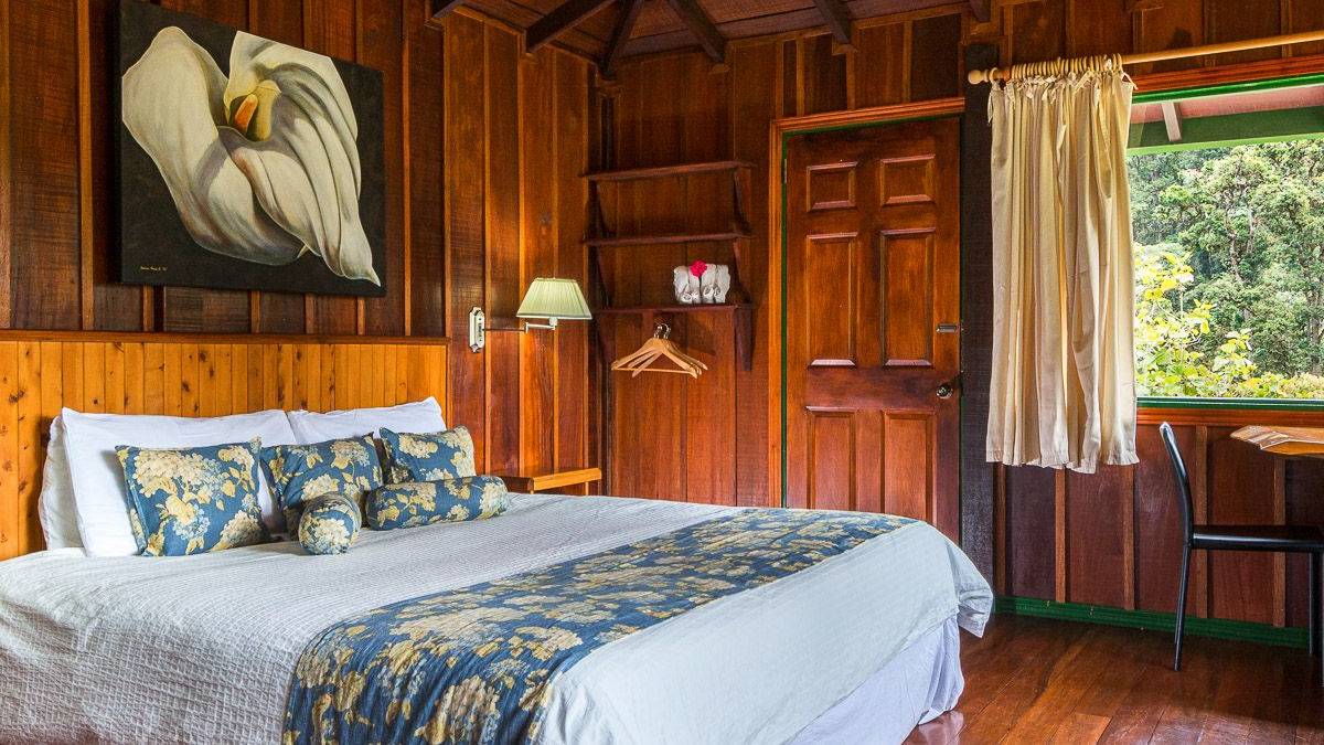 Trogon Lodge |  Trogon Lodge / Chamleon