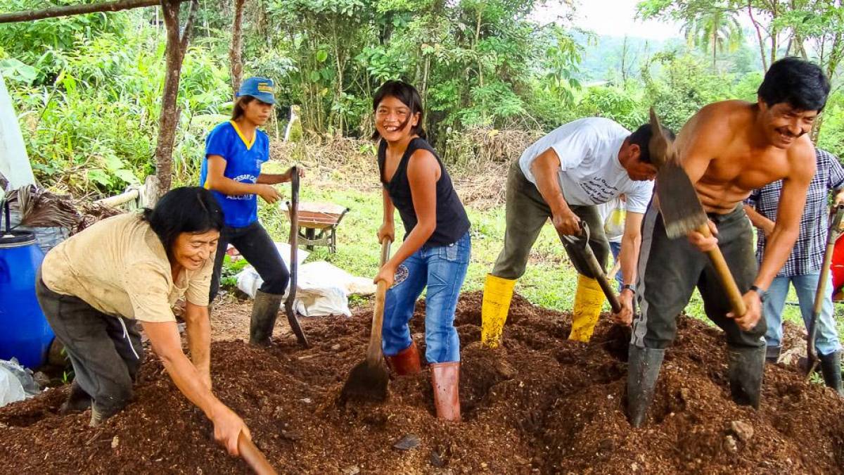 Gemeinschaftliches Arbeiten im Regenwaldprojekt Las Cascadas |  Chamleon
