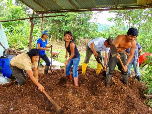 Den Wald schtzen und mit ihm leben |  Chamleon