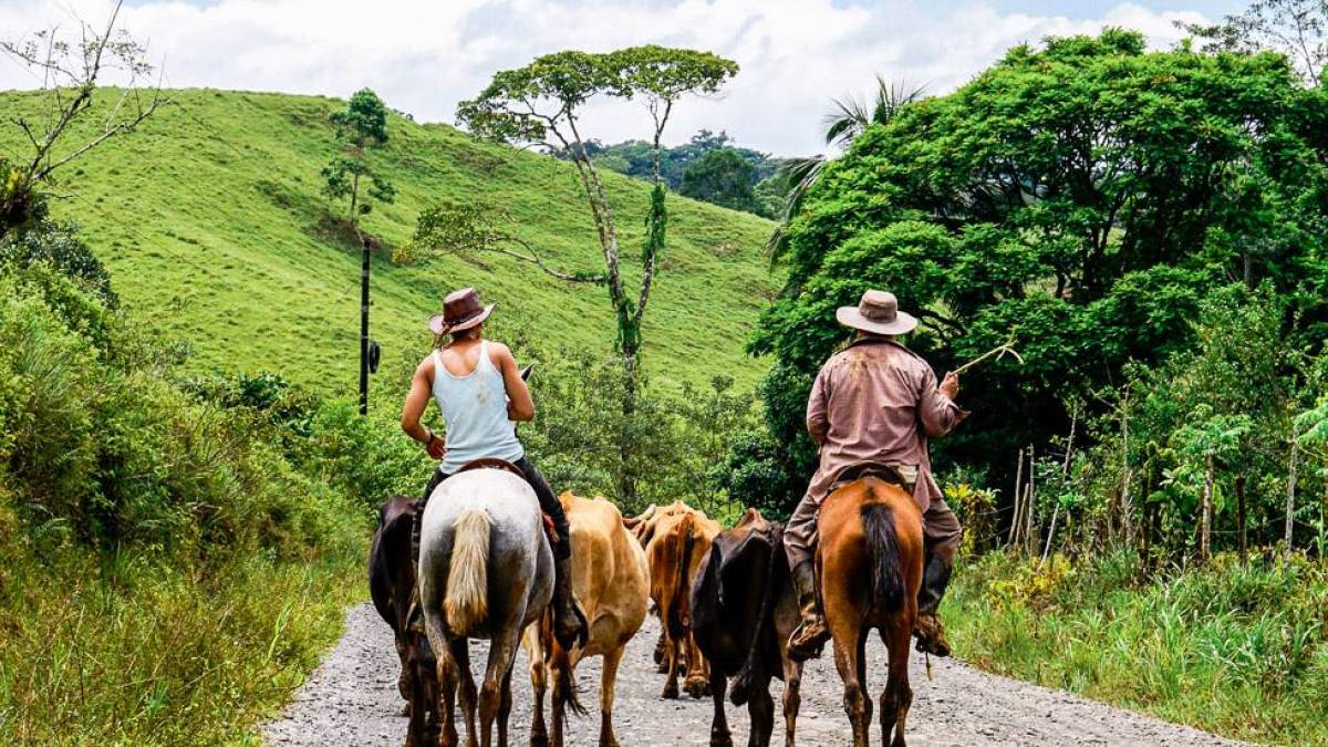 Cowboys |  Kathrin Wortmann / Chamleon