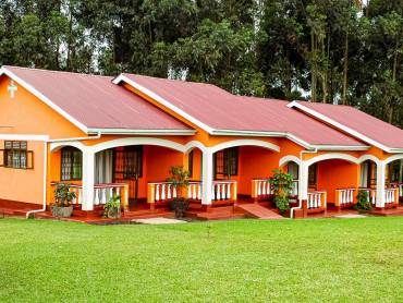 Kluges Gstefarm |  Kluges Gstefarm / Chamleon