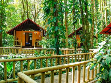 Evergreen Lodge |  Melina Jaxtheimer / Chamleon