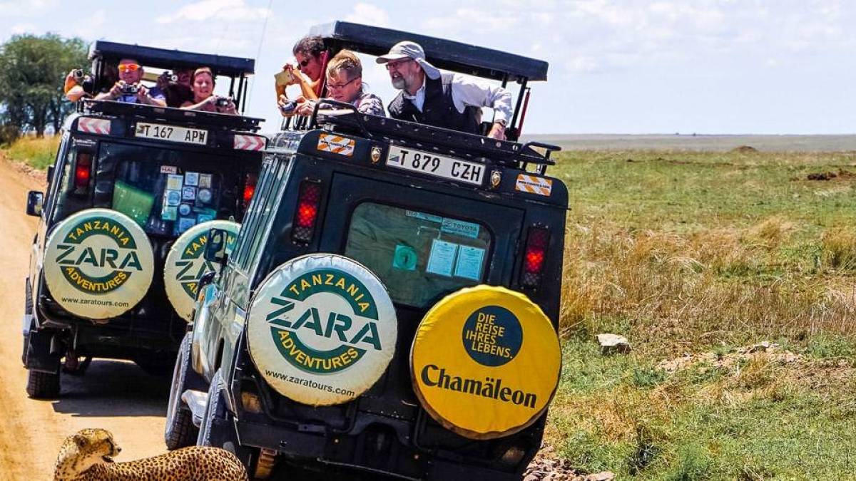 Jeep Safari |  Lena Schnabel / Chamleon