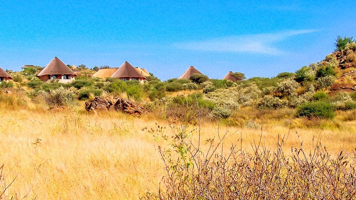 Onjala Lodge |  Onjala Lodge / Chamleon