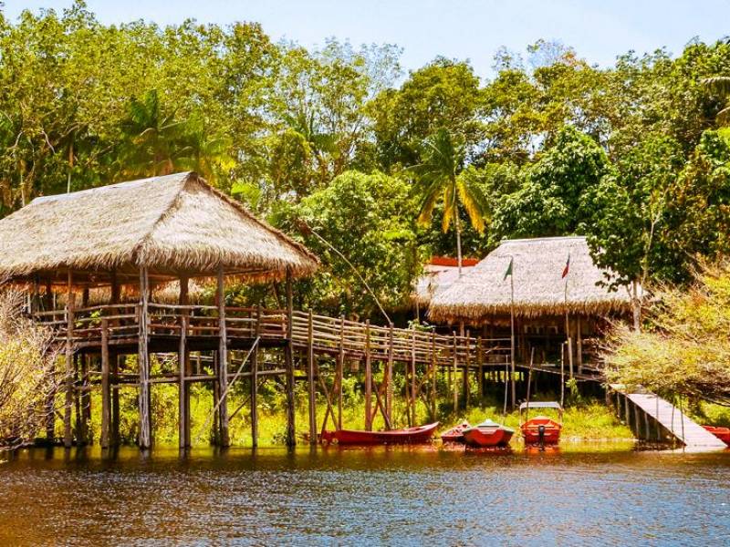 Tariri Amazon Lodge |  Tariri Amazon Lodge / Chamleon