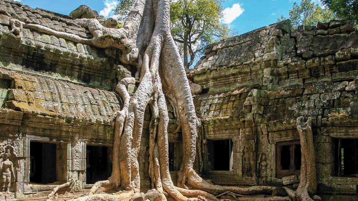 Wrgefeige in Ta Prohm |  Kurt Heller-Lindt / Chamleon