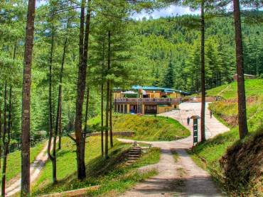 Wangchuk Resort  |  Wangchuk Resort / Chamleon