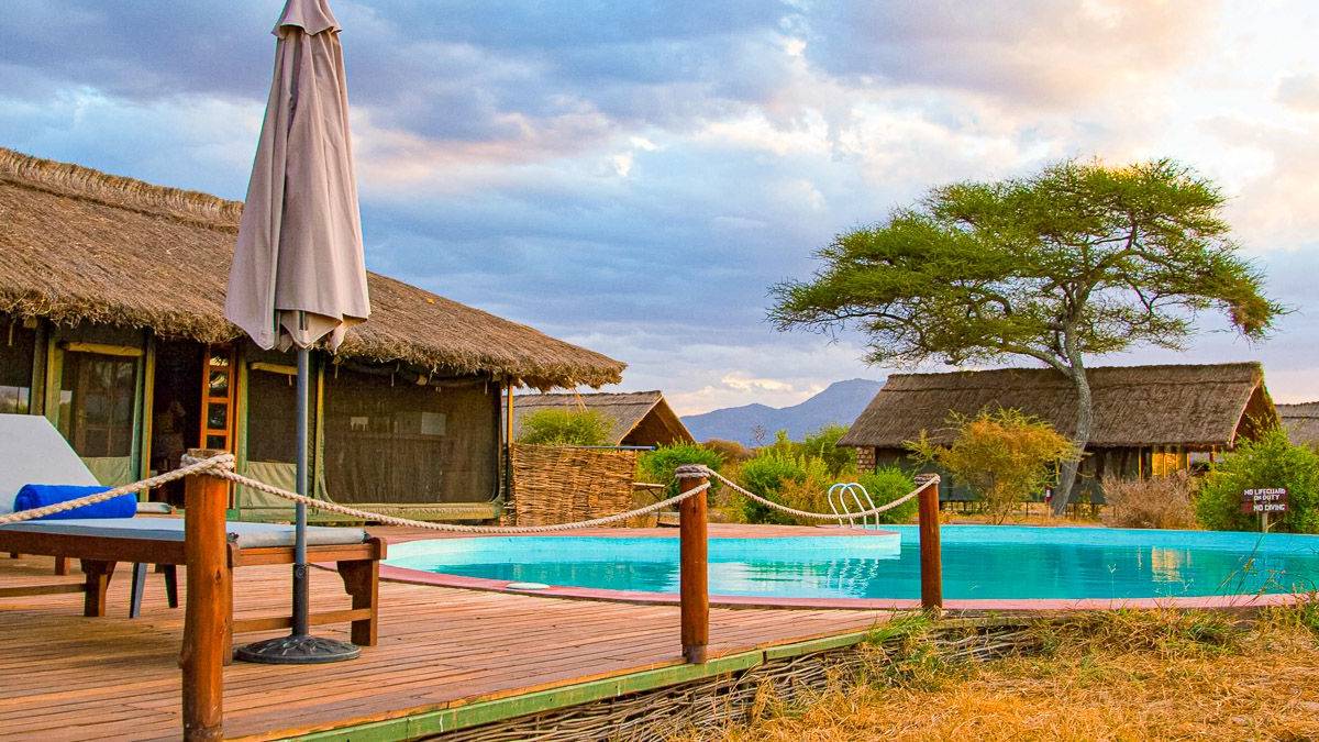 Tarangire Simba Lodge |  Tarangire Simba Lodge / Chamleon