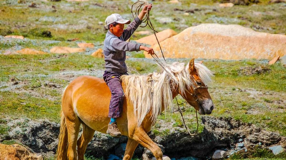 Junge auf Pony |  Tsolmon Travel / Chamleon