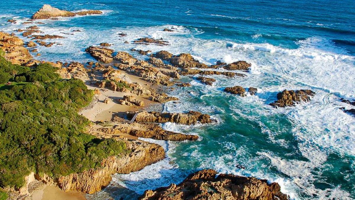 Kste in Knysna |  Sandra Jacobs, Sunway Safaris / Chamleon