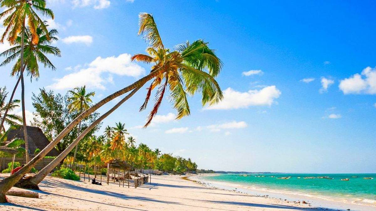 Traumstrand bei Sansibar |  Michel de Nijs, iStockphoto.com / Chamleon