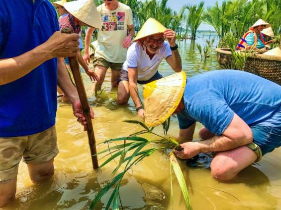 Wasserkokusnussbume pflanzen |  Christian Lattner / Chamleon