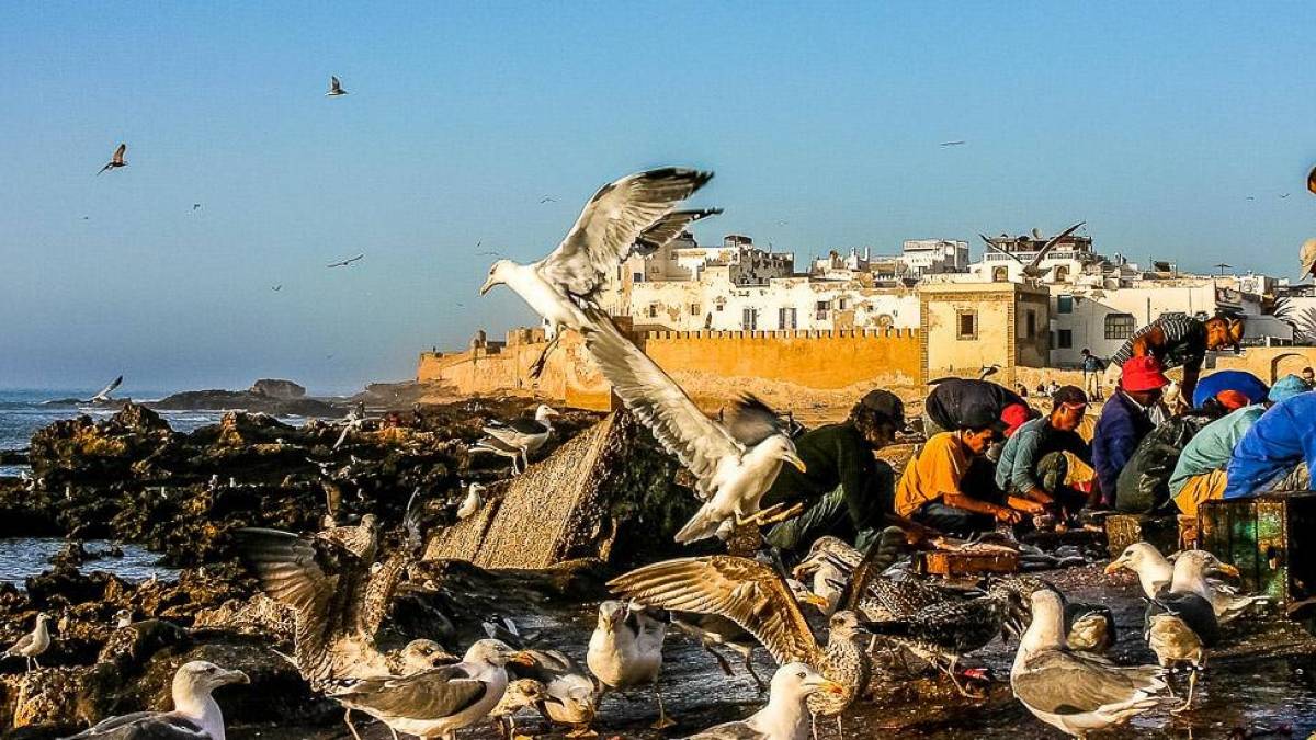 Fischer bei Essaouira |  Eduard Frankovsky / Chamleon