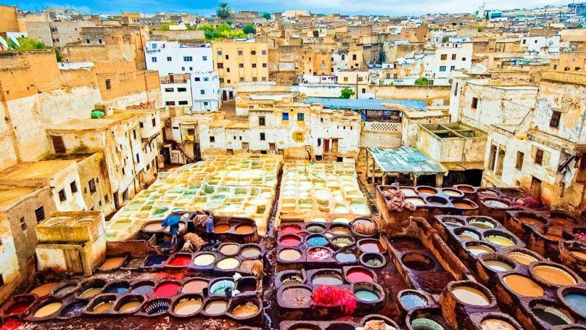 Gerberei in Fs |  Nour El Refai, iStockphoto.com / Chamleon