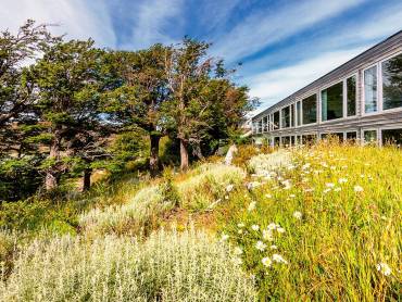 Hotel Lago Grey |  Juan Giraldo, Hotel Lago Grey / Chamleon