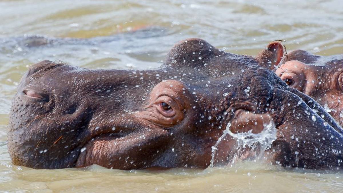 Badetag |  Klaus Scharfenberg / Chamleon