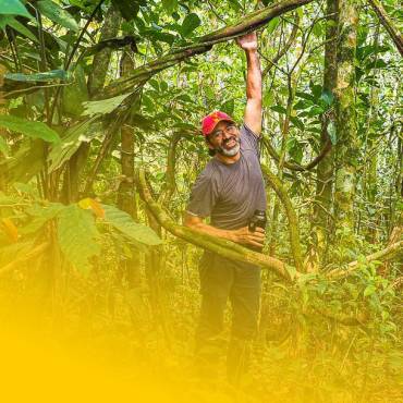 2010 | Rainforest Foundation