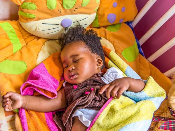 Mittagsschlaf |  Klaus Hansen / Chamleon