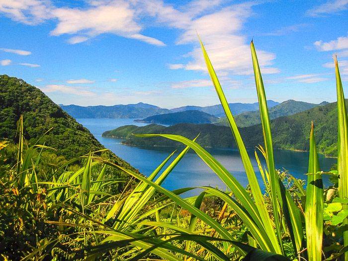 Queen Charlotte Walkway |  Eberhard Enz / Chamleon