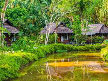 Sepilok Nature Resort |  Sepilok Nature Resort / CHamleon