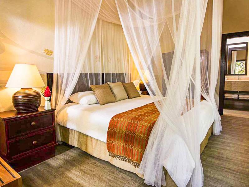 Jungle Lodge in Tikal |  Jungle Lodge / Chamleon