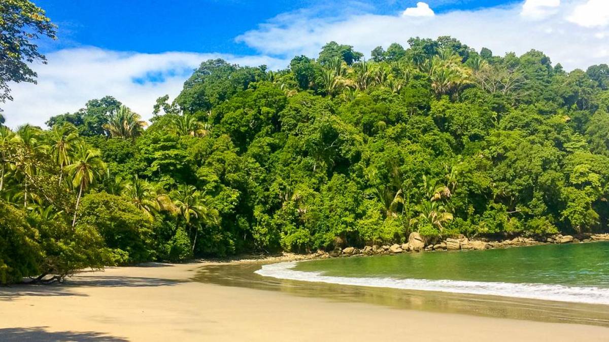 Strand im Manuel-Antonio-Nationalpark |  Anja Pilarski / Chamleon