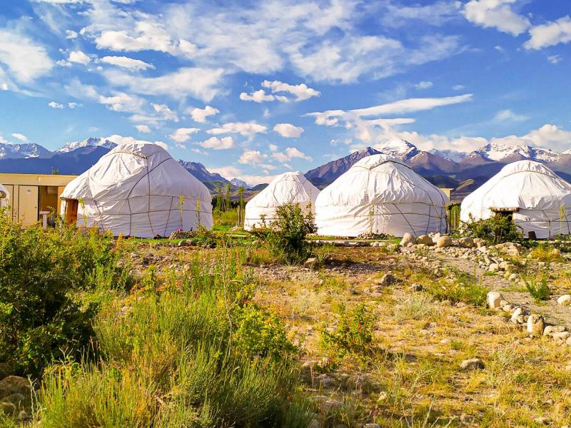 Jurtencamp |  Novi Nomad / Chamleon