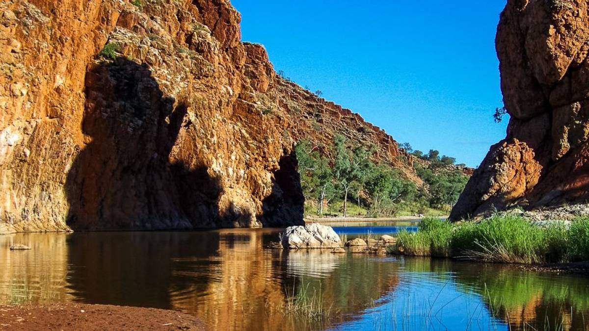 Glen-Helen-Schlucht |  Chamleon