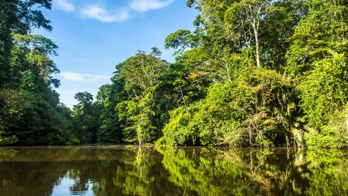Tortuguero Nationalpark |  Hannes Schleicher / Chamleon