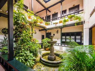 Camino Real |  Carlos Mafla, Camino Real / Chamleon