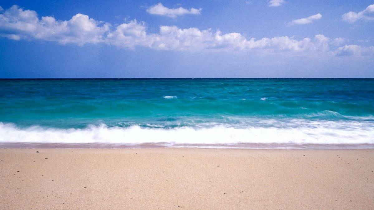 Strand in Dhofar |  Chamleon