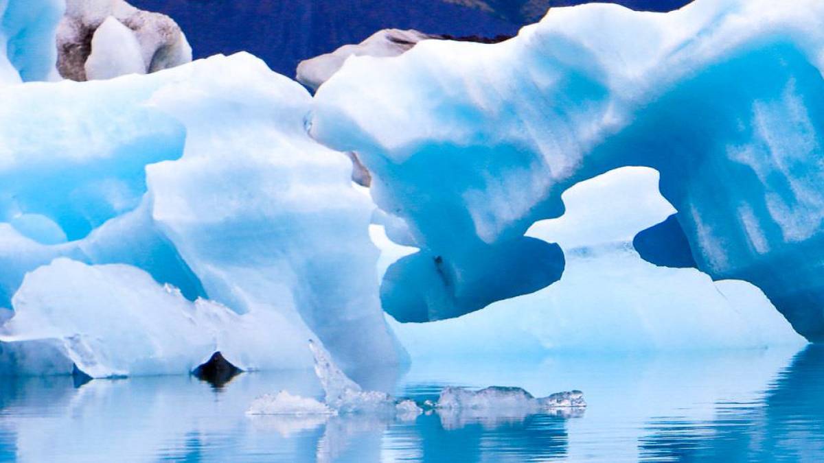 Vergnglicher Augenblick der Schnheit und Stille |  Claudia Lippert / Chamleon