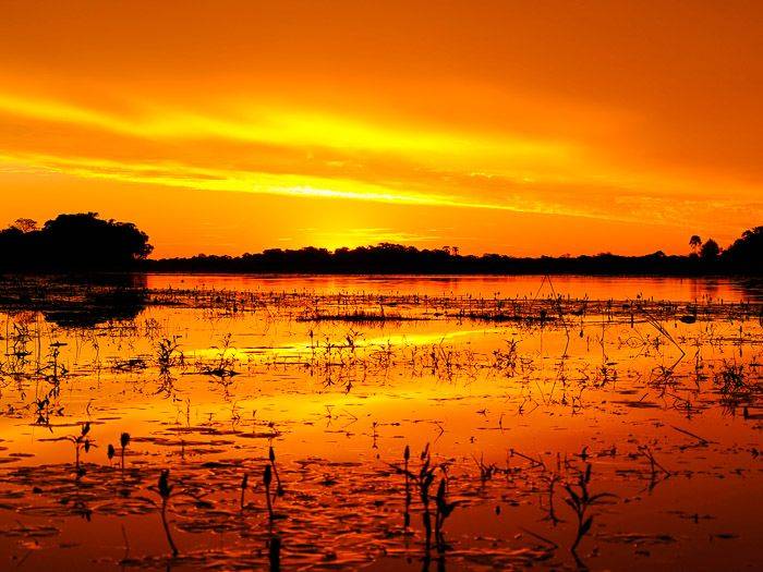 Okavango-Delta... Found Gold |  Nicole Schroeder / Chamleon