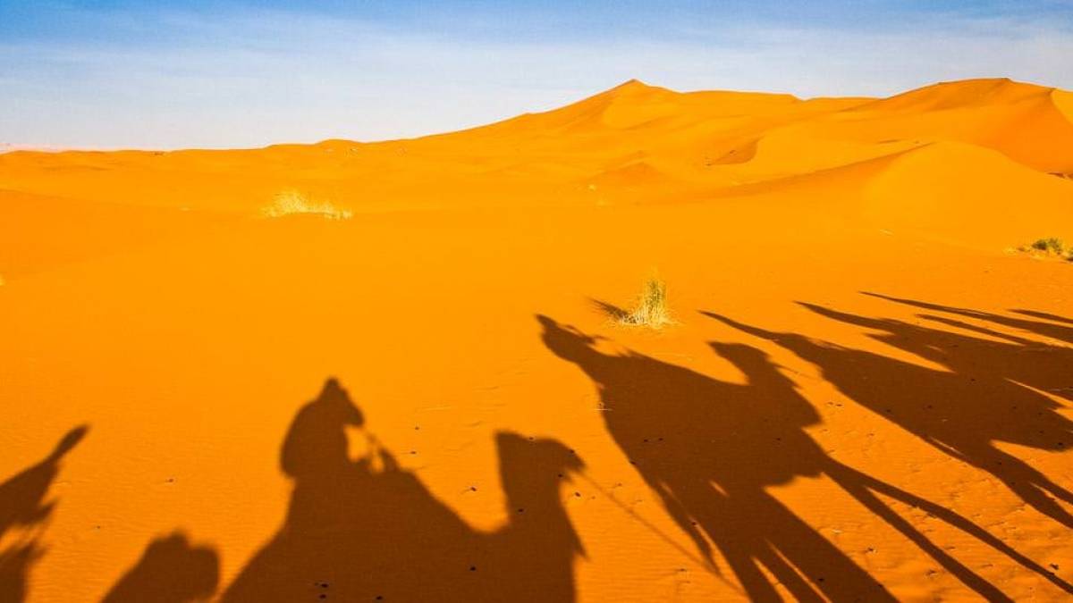 Wstenschiffe |  Christine Wurst / Chamleon