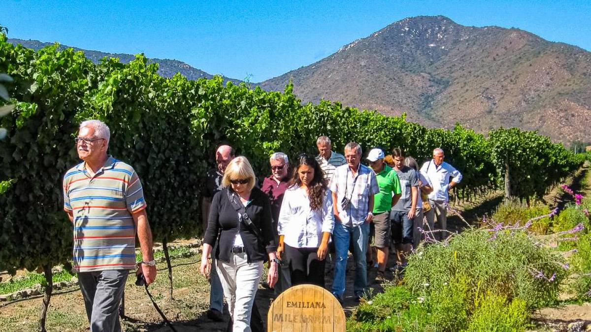 Weingut Emiliana |  TravelArt Chile / Chamleon