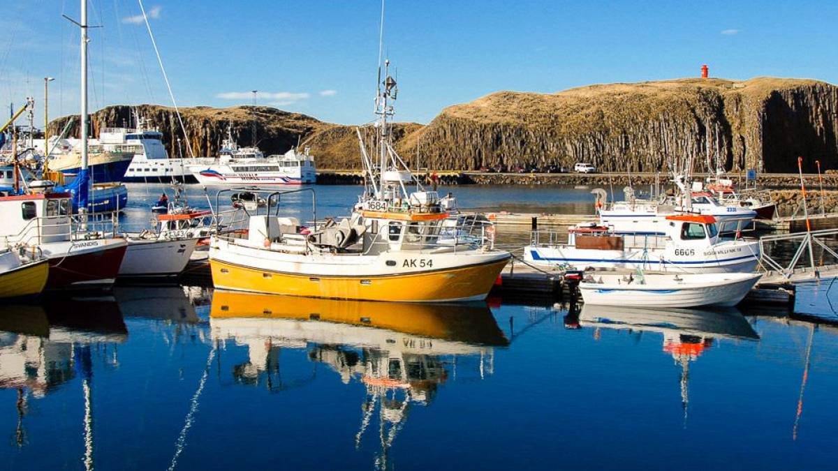 Fischerboote im Hafen |  Island Pro Travel / Chamleon