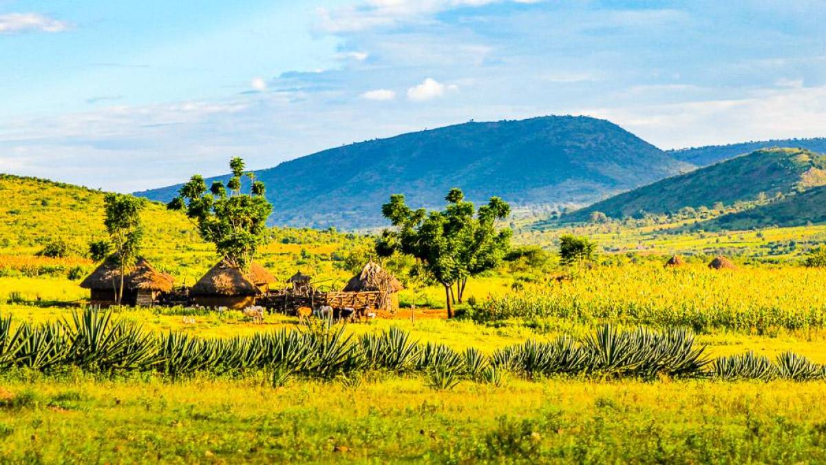 Massai-Dorf in Kenia |  Sarah Poit / Chamleon