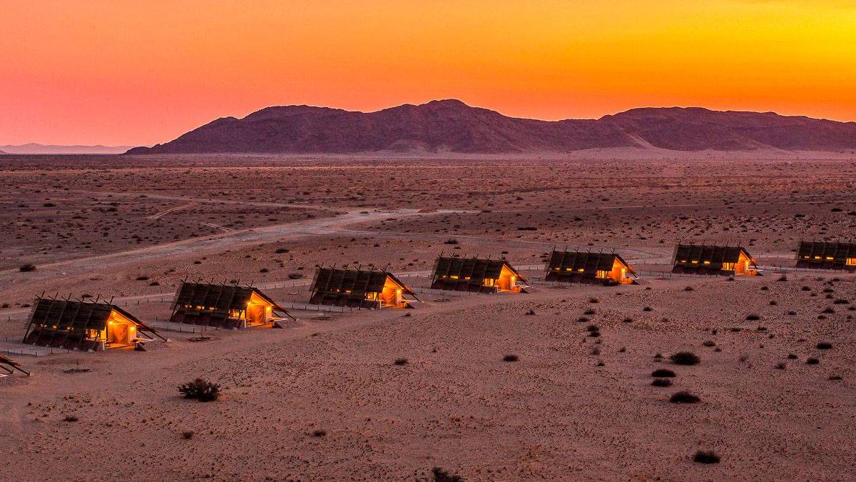 Desert Quiver Camp |  Xenia Ivanoff-Erb, Desert Quiver Camp / Chamleon