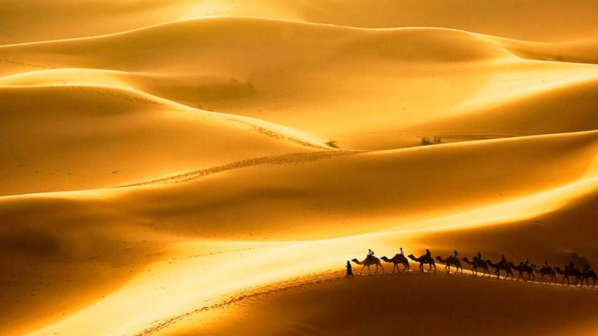 Kamelkarawane in den Sanddnen Erg Chebbi, Sahara |  Roberto Caucino, iStockphoto.com / Chamleon