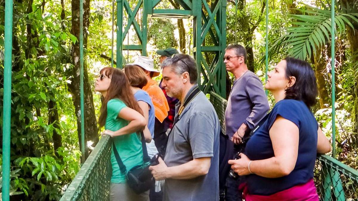 Staunen im Nebelwaldreservat Monteverde |  Britta Jedzik / Chamleon